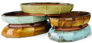 Handcrafted 12-Facet oval bonsai pots by Mooi River Bonsai