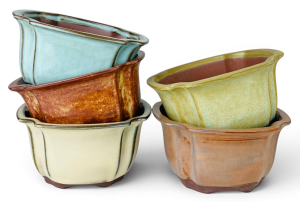 Handcrafted lotus bonsai pot by Mooi River Bonsai