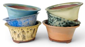 Handcrafted bell rim round bonsai pots by Mooi River Bonsai