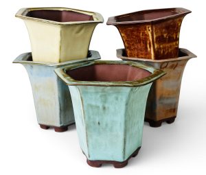 Handcrafted flared cascade bonsai pot by Mooi River Bonsai