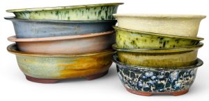 Handcrafted oval bonsai pots by Mooi River Bonsai