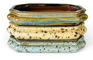 Handcrafted Mokka Gata bonsai pot by Mooi River Bonsai