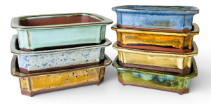 Handcrafted imperial rectangle bonsai pots by Mooi River Bonsai